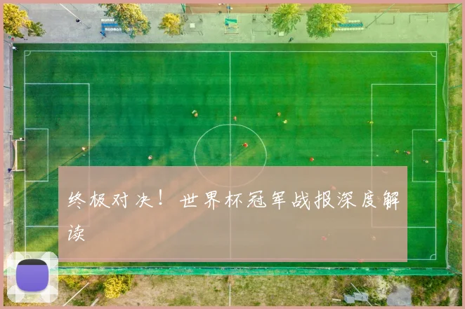终极对决！世界杯冠军战报深度解读