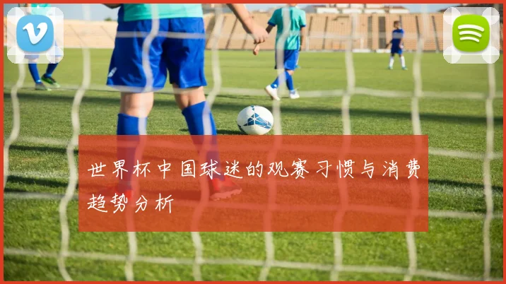 世界杯中国球迷的观赛习惯与消费趋势分析