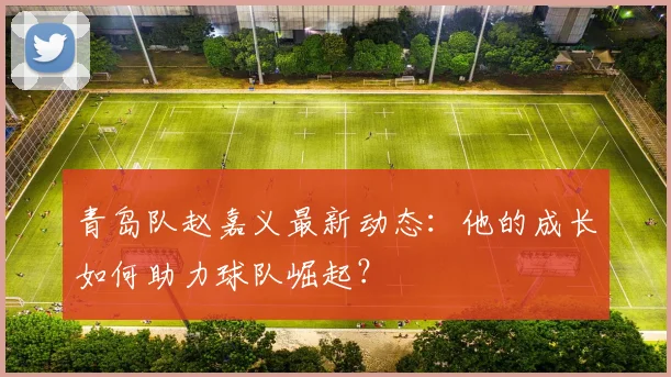 青岛队赵嘉义最新动态：他的成长如何助力球队崛起？