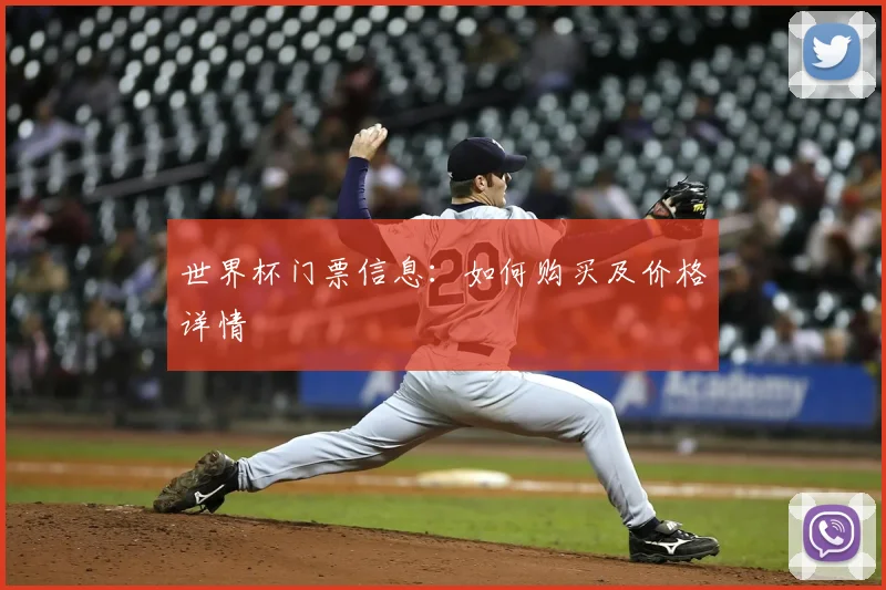 世界杯门票信息：如何购买及价格详情