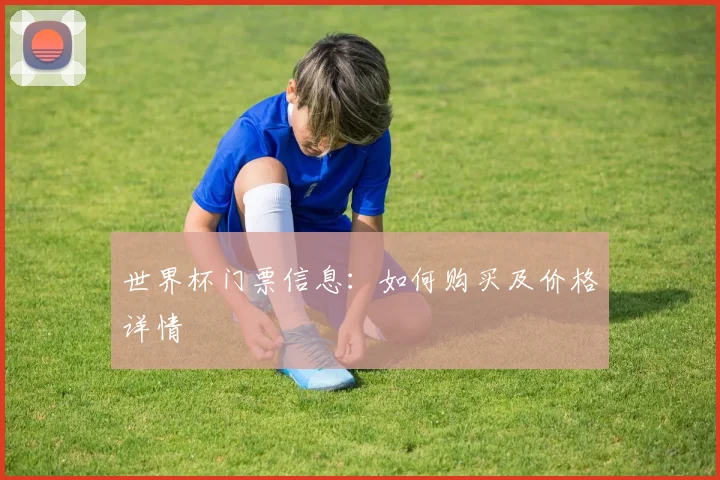 世界杯门票信息：如何购买及价格详情