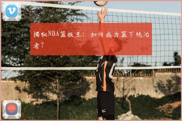 揭秘NBA篮板王：如何成为篮下统治者？