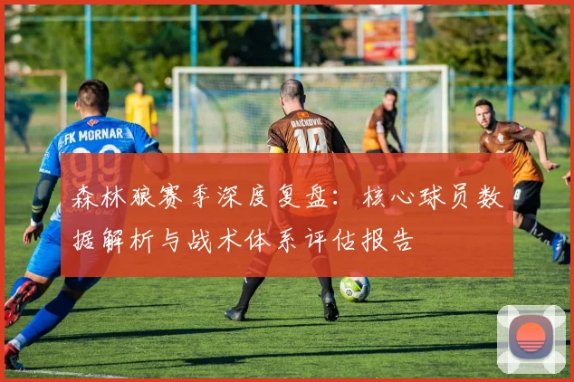 森林狼赛季深度复盘：核心球员数据解析与战术体系评估报告
