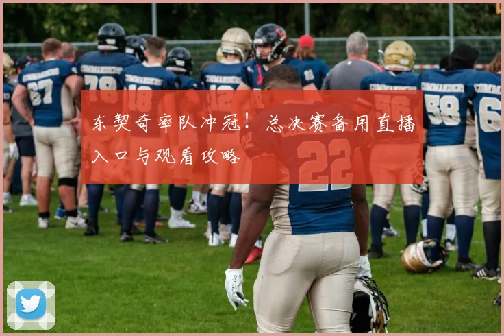 东契奇率队冲冠！总决赛备用直播入口与观看攻略